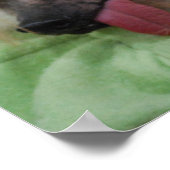 Hairless Chinese Created Doster Poster (Ecke)