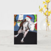 Hairless Pet Rat Note Card Karte (Gelbe Blume)