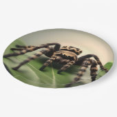 Hairy Australian Tarantula: Der sanfte Riese der N Pappteller (Schrägansicht)