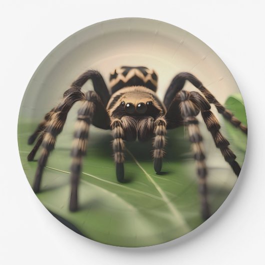 Hairy Australian Tarantula: Der sanfte Riese der N Pappteller (Vorderseite)