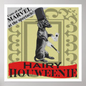 Hairy Houweenie ! Dackel Hund "Karneval" Poster (Vorne)