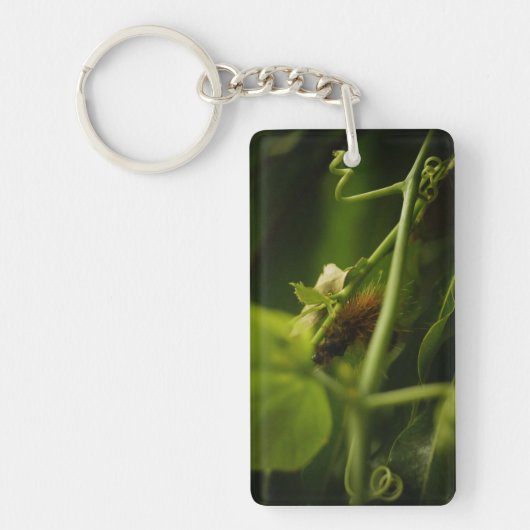 Hairy Raupe Schlüsselanhänger (Vorderseite)