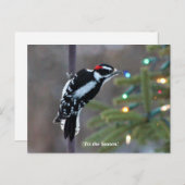 Hairy Woodpecker zu Weihnachten Postkarte (Vorne/Hinten)