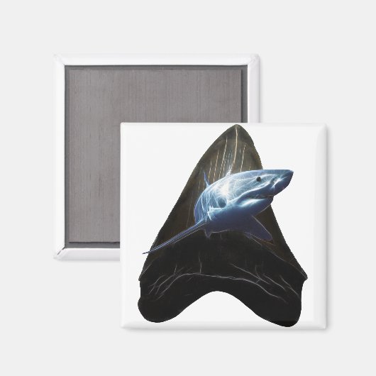 Haistand 2019 magnet (Vorderseite/Rückseite)