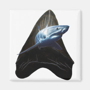 Haistand 2019 magnet