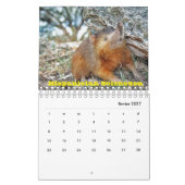 Haiti Kalender (Feb 2027)