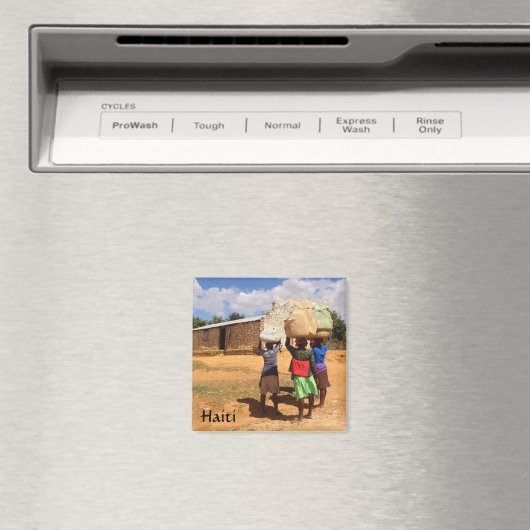 Haiti Magnet (In Situ (Geschirrspüler))