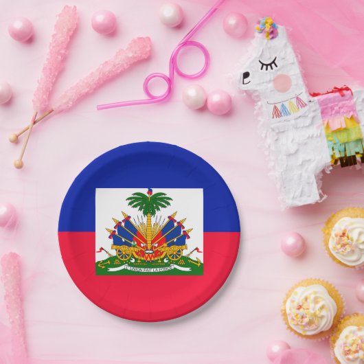 Haiti Pappteller (Party)