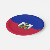 Haitianische Flagge Pappteller (Schrägansicht)