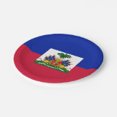 Haitianische Flagge Teller, Party, Sport, Haiti Pappteller (Schrägansicht)