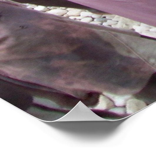 Haitis Gesicht des Hungers Poster (Ecke)