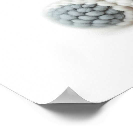 Häkelhühner Poster (Ecke)