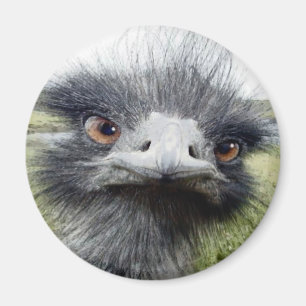 Haken Magnet