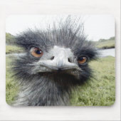 Haken Mousepad (Vorne)