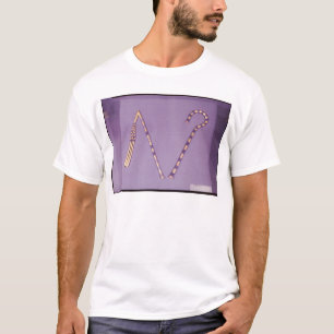 Haken und Dreschflegel, vom Grab von Tutankhamun T-Shirt