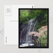 Hakone fällt Japan Postkarte (Vorne/Hinten)
