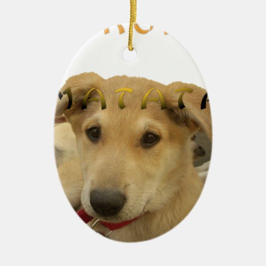 Hakuna Matata I know what you are thinking pinctur Keramik Ornament (Vorne)