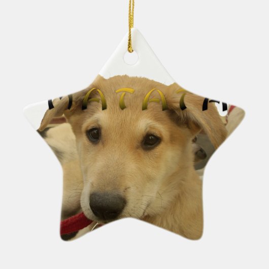 Hakuna Matata I know what you are thinking pinctur Keramikornament (Vorne)