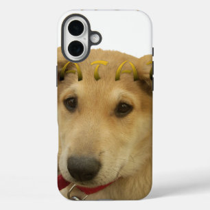 Hakuna Matata Ich weiß, was du denkst pinctur iPhone 16 Plus Hülle