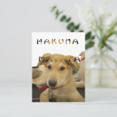 Hakuna Matata Ich weiß, was Sie denken Bild Postkarte (Stehend Vorderseite)