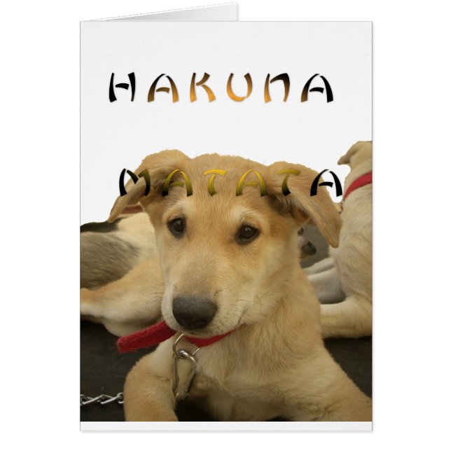 Hakuna Matata Ich weiß, was Sie denken pinctur (Vorne)