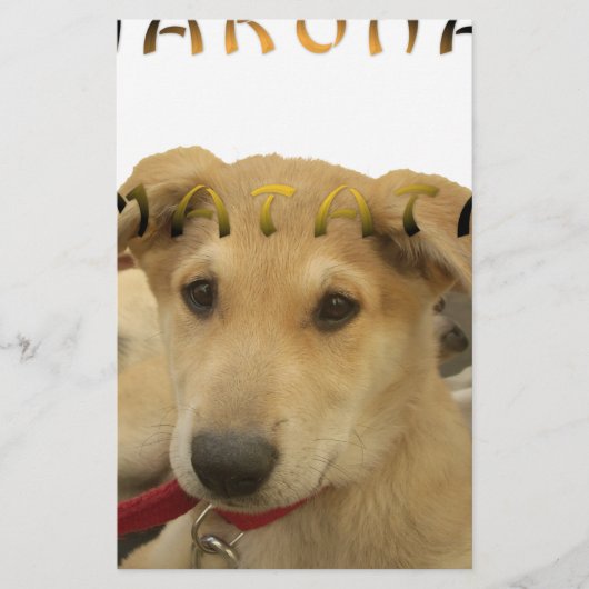 Hakuna Matata Ich weiß, was Sie denken pinctur Briefpapier (Vorderseite)