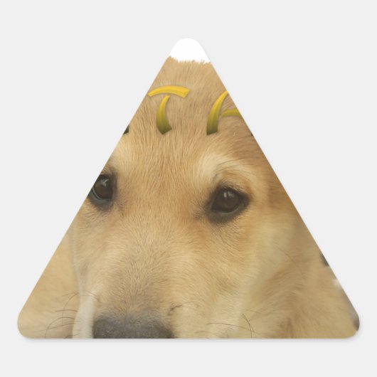 Hakuna Matata Ich weiß, was Sie denken pinctur Dreieckiger Aufkleber (Vorderseite)