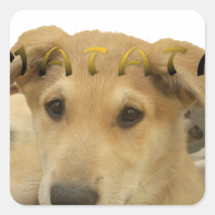 Hakuna Matata Ich weiß, was Sie denken pinctur Quadratischer Aufkleber