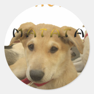 Hakuna Matata Ich weiß, was Sie denken pinctur Runder Aufkleber