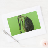 Hakuna Matata Kenya Maasai.JPG Rechteckiger Aufkleber (Umschlag)