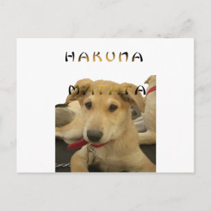 "Hakuna Matata Pup" – Hunde lieben ohne Sorgen Postkarte