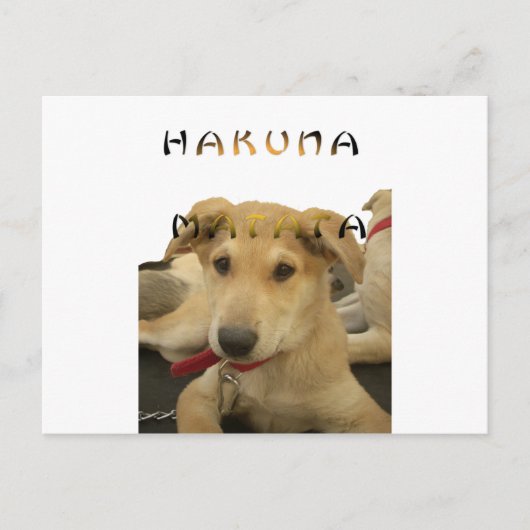 "Hakuna Matata Pup" - Worry-free Puppy Liebe Postkarte (Vorderseite)