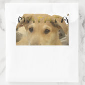 "Hakuna Matata Pup" - Worry-free Puppy Liebe Rechteckiger Aufkleber (Tasche)