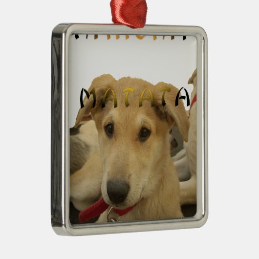 "Hakuna Matata Pup" - Worry-free Puppy Liebe Silbernes Ornament (Rechts)