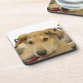 "Hakuna Matata Pup" - Worry-free Puppy Liebe Untersetzer (Linke Seite)