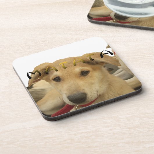 "Hakuna Matata Pup" - Worry-free Puppy Liebe Untersetzer (Linke Seite)