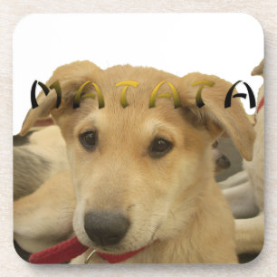 "Hakuna Matata Pup" - Worry-free Puppy Liebe Untersetzer