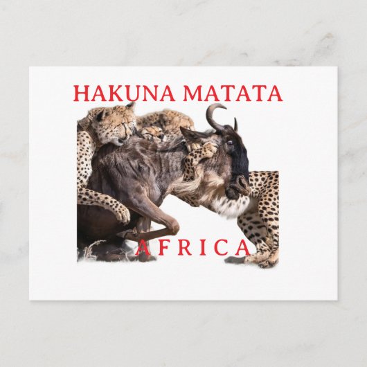 Hakuna Matata Safari Postkarte | Wilde Tiere (Vorderseite)