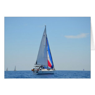 Hakuna Matata zum Europäischen Parlament