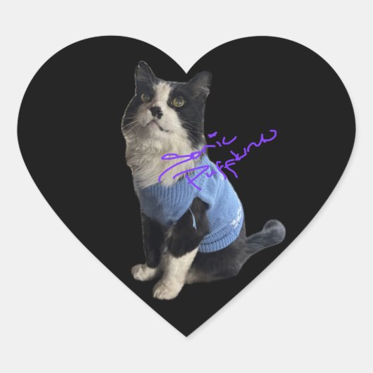 Hakuzi Heart Stickers (Vorderseite)