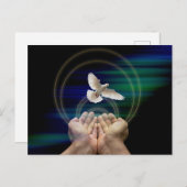 halb Glanz, Standardgröße, Ruhe und Tauben Postkarte (Vorne/Hinten)