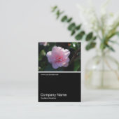 Halb&Halb Foto 0311 - Rosa Kamelien Visitenkarte (Stehend Vorderseite)