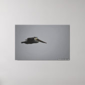 Halb Moon Bay Fierce Pelican III - überzogene Canv Leinwanddruck (Vorderseite)