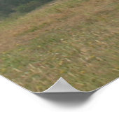 Halb Moon Bay House auf einem Hügel Poster (Ecke)