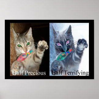 Halb und halb poster