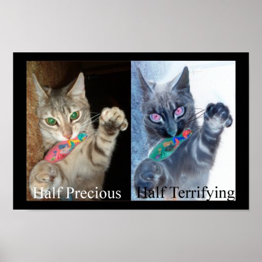 Halb und halb poster (Vorne)