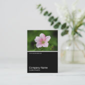 Halb- und Halbfinale Foto 0346- Geranium Visitenkarte (Stehend Vorderseite)