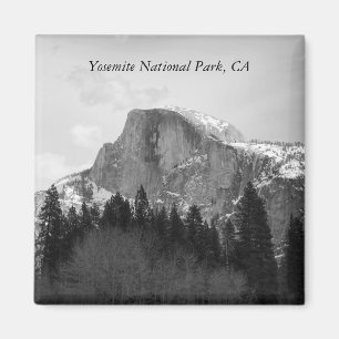 Halber Haubenmagnet Magnet