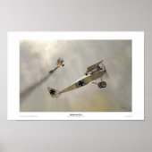 Halberstadt D.III Poster (Vorne)