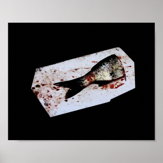 Halbfisch Poster (Vorne)